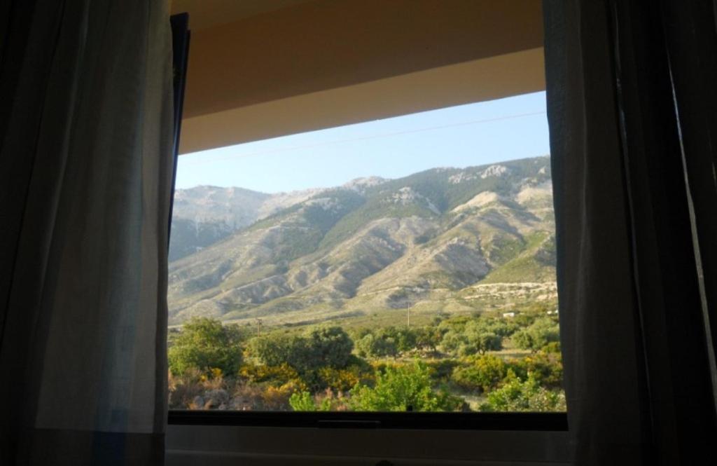 Regina Simotata Sissia * Lourdata (Kefalonia)